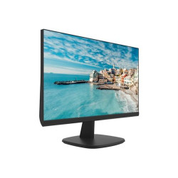 Hikvision DS-D5024FN - LED monitor - 23.8" - 1920 x 1080 Full HD (1080p) 